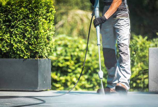 Best Sidewalk and Walkway Cleaning  in Charleston, MO