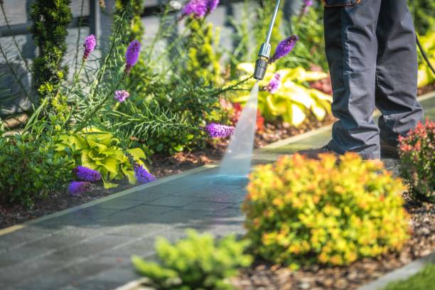 Best Spring Cleaning  in Charleston, MO
