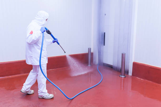 Best Solar Panel Cleaning  in Charleston, MO